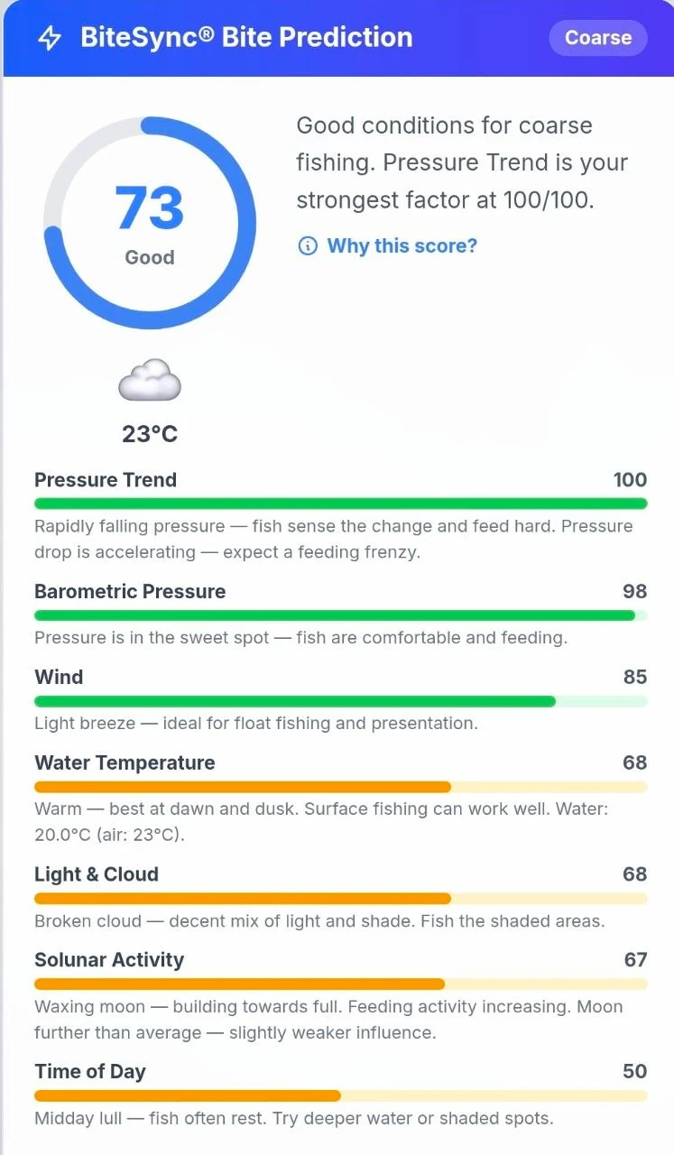The BiteSync breakdown screen: a score of 73 out of 100, then each contributing factor scored and explained - pressure trend 100, barometric pressure 98, wind 85, water temperature 68, light and cloud 68, solunar activity 67, time of day 50.