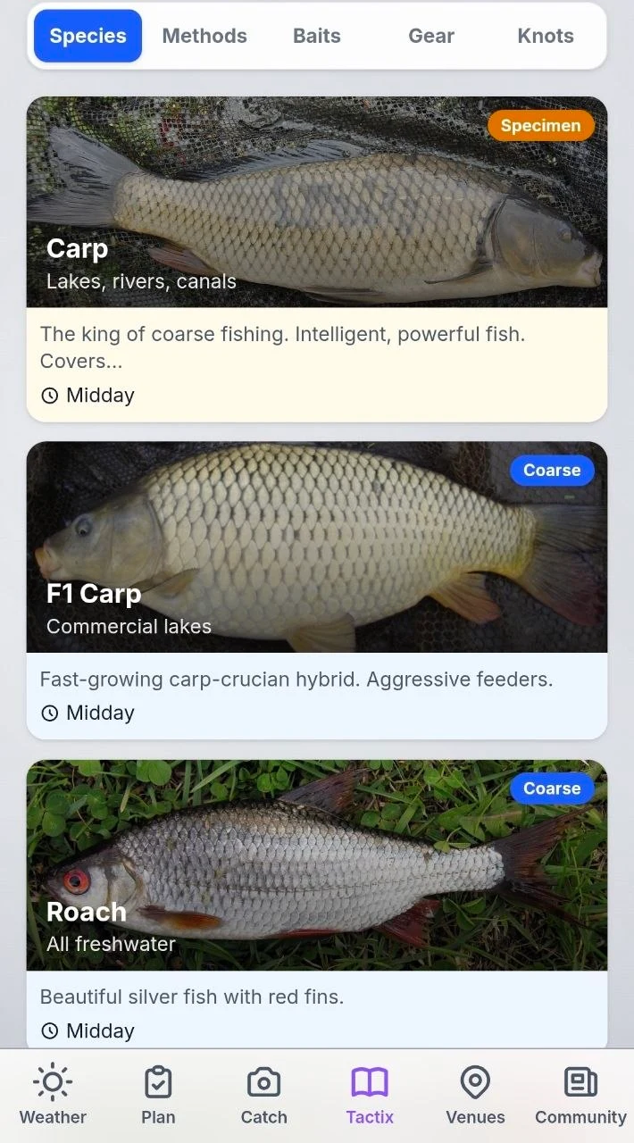 The Tactix species library showing cards for Carp, F1 Carp and Roach, each with a photograph, where it is found and when it feeds.